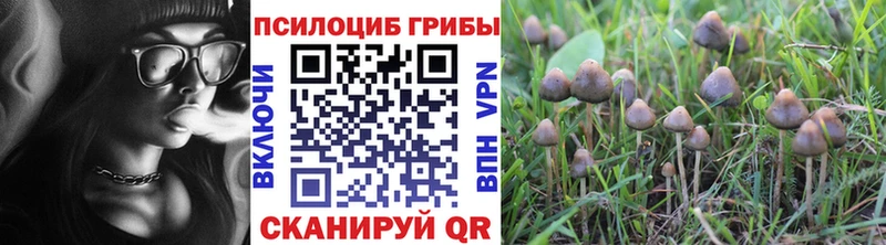 mega зеркало  Калтан  Псилоцибиновые грибы GOLDEN TEACHER 